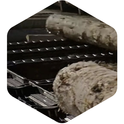 Wood & Lumber Processing